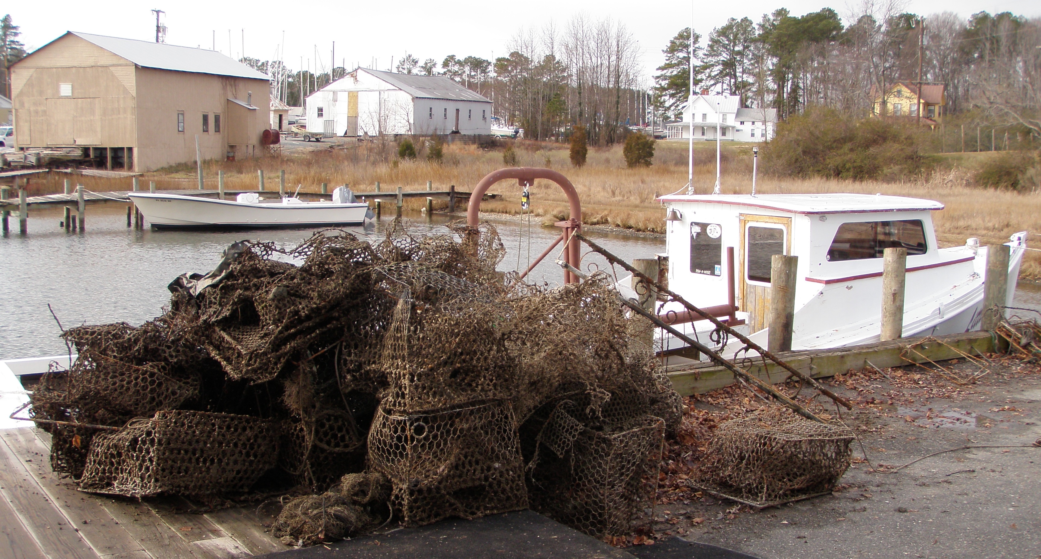 Removed Derelict Pots